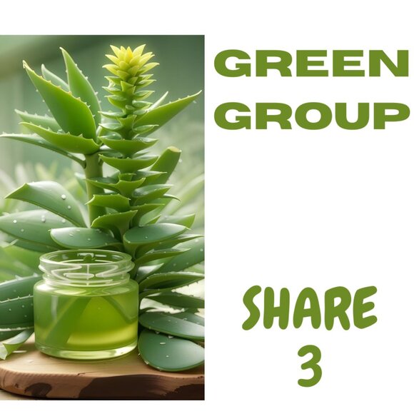 THUR. 10/9/25 GREEN COLOR ONLY Share 3 Group - Picture 1 of 5